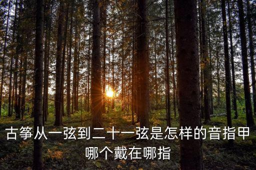 古箏從一弦到二十一弦是怎樣的音指甲哪個戴在哪指
