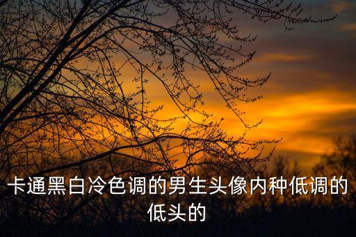 黑白動漫男頭，可不可以給我一張動漫男頭黑白的頭像
