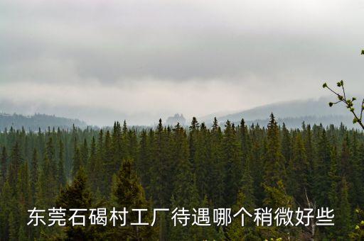 東莞石碣村工廠待遇哪個稍微好些