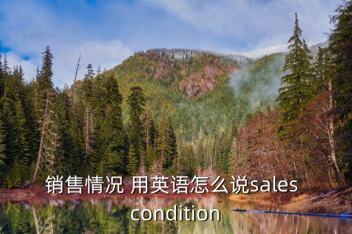 銷售情況 用英語怎么說sales condition