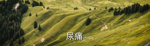尿疼，尿痛是什么問題