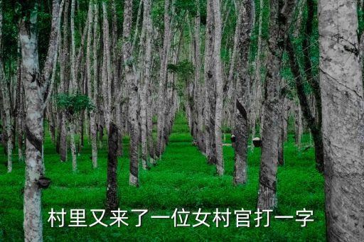 村里又來了一位女村官打一字