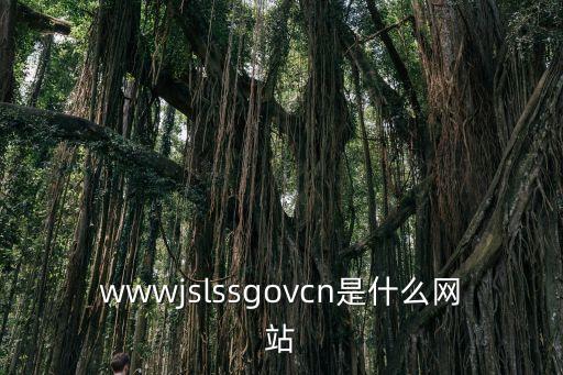 wwwjslssgovcn是什么網(wǎng)站