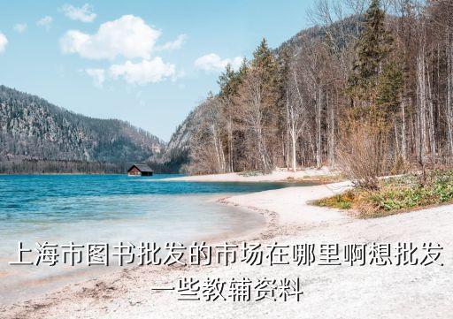 上海市圖書(shū)批發(fā)的市場(chǎng)在哪里啊想批發(fā)一些教輔資料