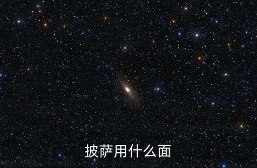 披薩用什么面