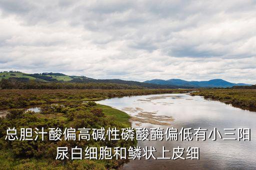 膽汁酸是什么，總膽汁酸偏高堿性磷酸酶偏低有小三陽尿白細(xì)胞和鱗狀上皮細(xì)