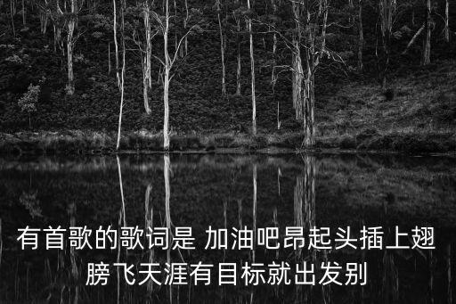 有首歌的歌詞是 加油吧昂起頭插上翅膀飛天涯有目標就出發別
