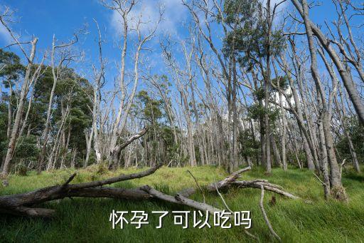 懷孕了可以吃嗎