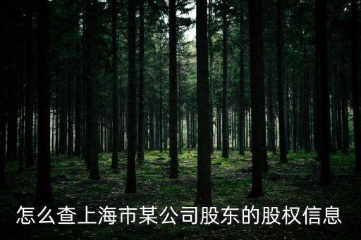 怎么查上海市某公司股東的股權信息
