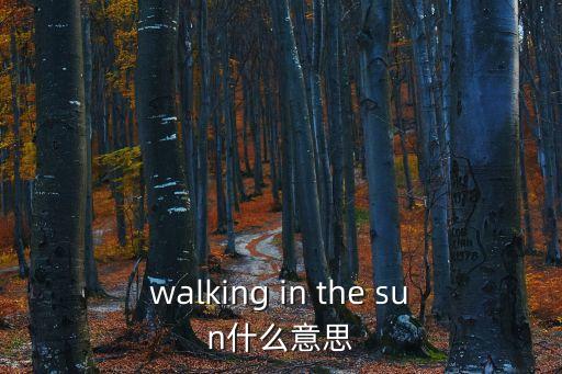 走在陽光下，walking in the sun什么意思