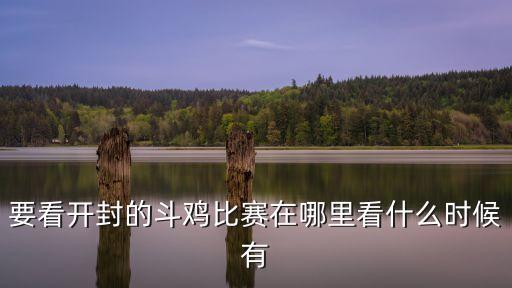 要看開封的斗雞比賽在哪里看什么時候有