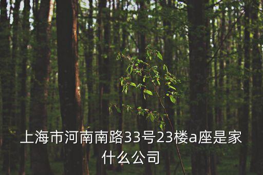 上海市河南南路33號23樓a座是家什么公司