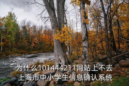 上海市學生活動網2020，為什么101444211網站上不去