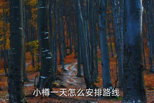 小樽運(yùn)河，小樽運(yùn)河的岸邊 用英文怎么翻譯日本的小樽運(yùn)河知道吧
