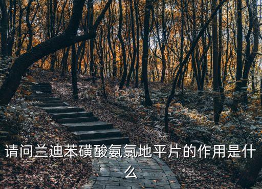 請問蘭迪苯磺酸氨氯地平片的作用是什么