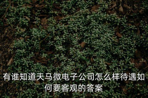 有誰知道天馬微電子公司怎么樣待遇如何要客觀的答案