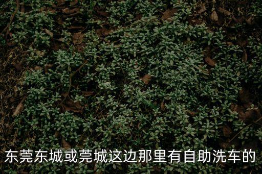 東莞東城或莞城這邊那里有自助洗車的