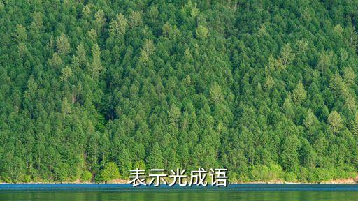 表示光成語