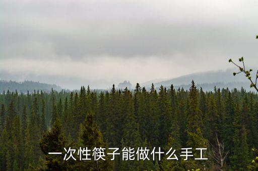一次性筷子能做什么手工
