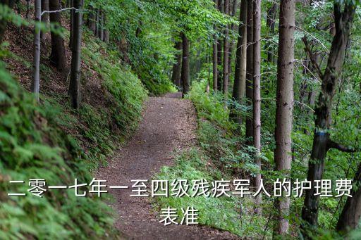 二零一七年一至四級殘疾軍人的護理費表準