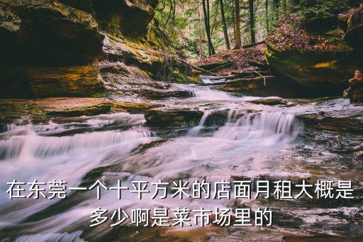 在東莞一個十平方米的店面月租大概是多少啊是菜市場里的