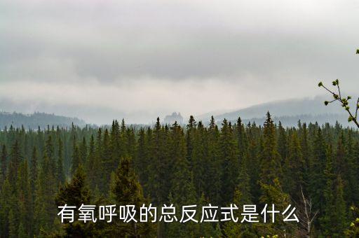 有氧呼吸的總反應(yīng)式是什么
