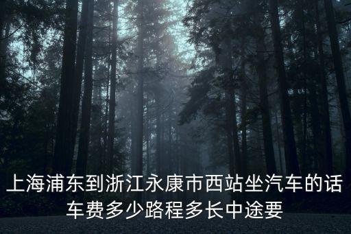 上海浦東到浙江永康市西站坐汽車的話車費多少路程多長中途要