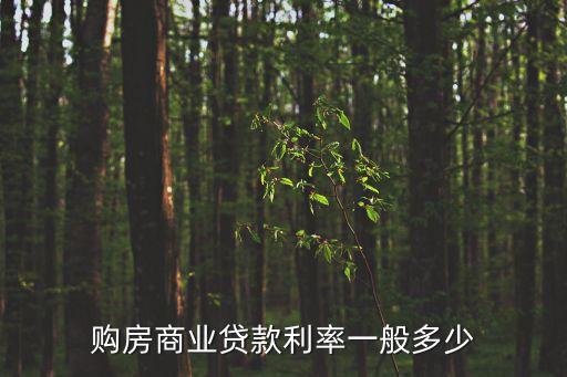 購房商業貸款利率一般多少