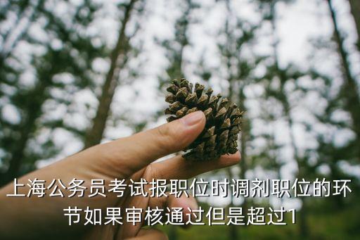 上海市考調劑選崗，我在上海公務員考試中面試筆試總成績沒有在我職位上線是否還有機
