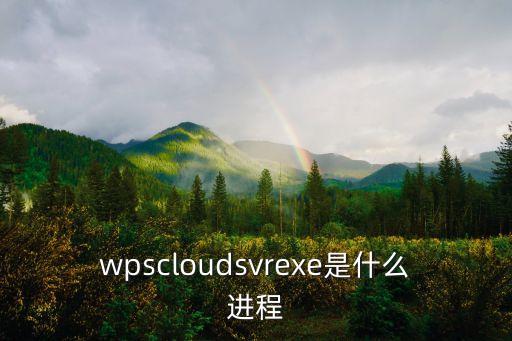 wpscloudsvrexe是什么進程