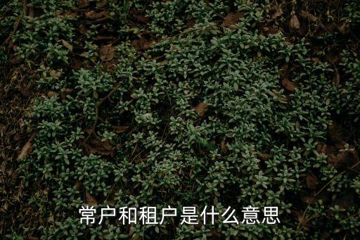 常戶和租戶是什么意思