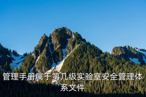 管理手冊屬于第幾級實驗室安全管理體系文件