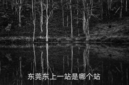 東莞東火車站1號進站口，東莞東上一站是哪個站