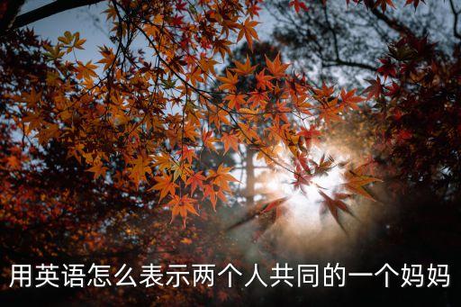 用英語怎么表示兩個人共同的一個媽媽