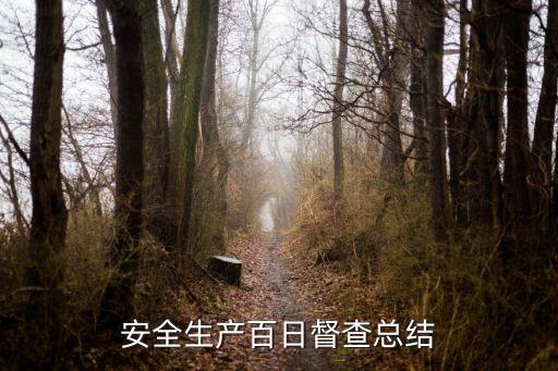 安全生產百日督查總結