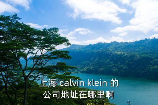 上海 calvin klein 的公司地址在哪里啊