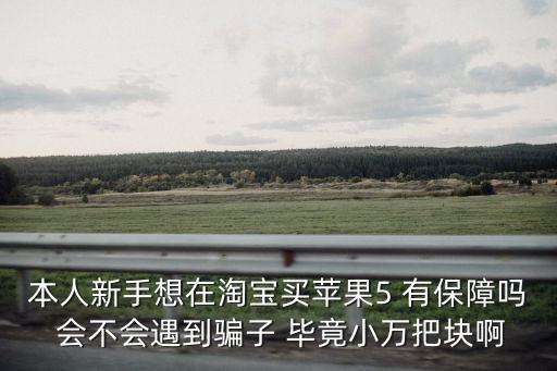 東莞碩動焊板機(jī)蘋果5，本人新手想在淘寶買蘋果5 有保障嗎 會不會遇到騙子 畢竟小萬把塊啊