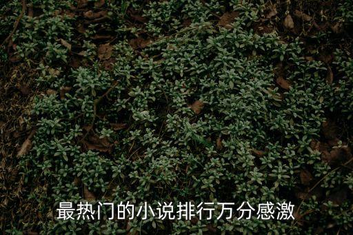 最熱門的小說排行萬分感激