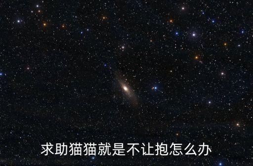 求助貓貓就是不讓抱怎么辦
