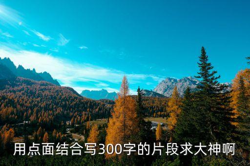 用點面結合寫300字的片段求大神啊