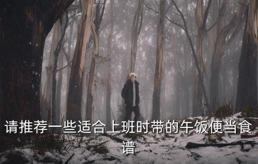 午餐菜譜，請推薦一些適合上班時帶的午飯便當食譜