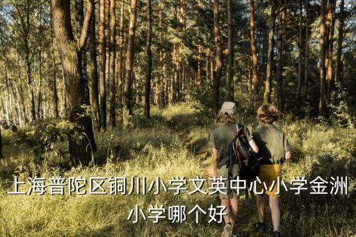 上海普陀區銅川小學文英中心小學金洲小學哪個好