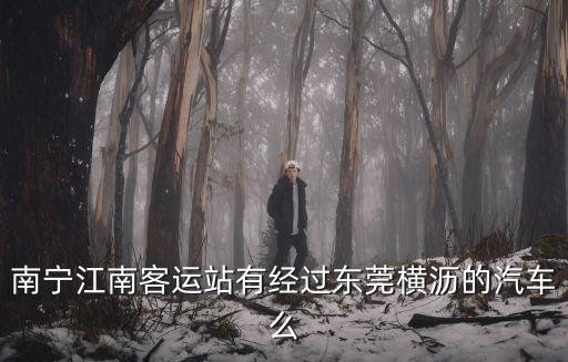 南寧到東莞橫瀝汽車，南寧瑯東站到東莞橫瀝晚上幾點的車