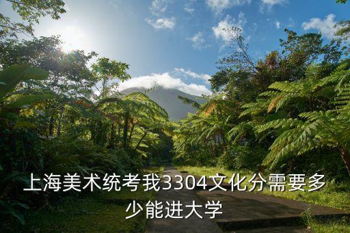 上海美術(shù)統(tǒng)考我3304文化分需要多少能進(jìn)大學(xué)