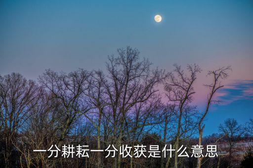 一分耕耘一分收獲是什么意思