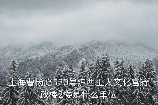上海曹楊路520號滬西工人文化宮行政樓2樓是什么單位