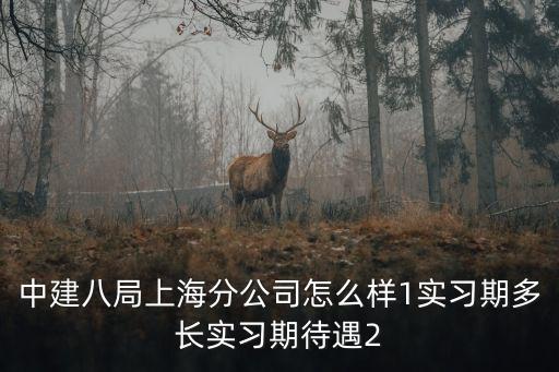 上海市楊浦區(qū)飛虹路中建八局，中建八局總部在哪里