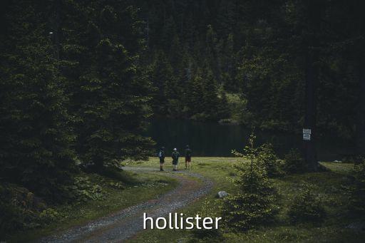 東莞加工Hollister皮拖，hollister兼職