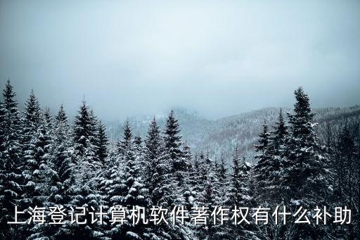 上海登記計算機軟件著作權有什么補助