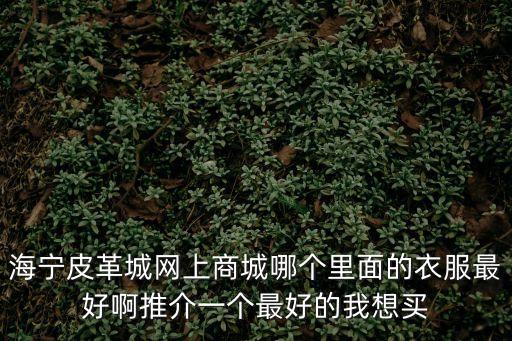 海寧皮革城網上商城，海寧皮革城在網上有店嗎
